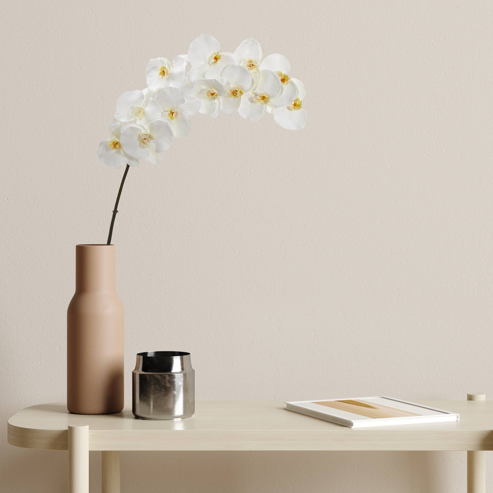 White Moth Orchid Stem, 3ct.